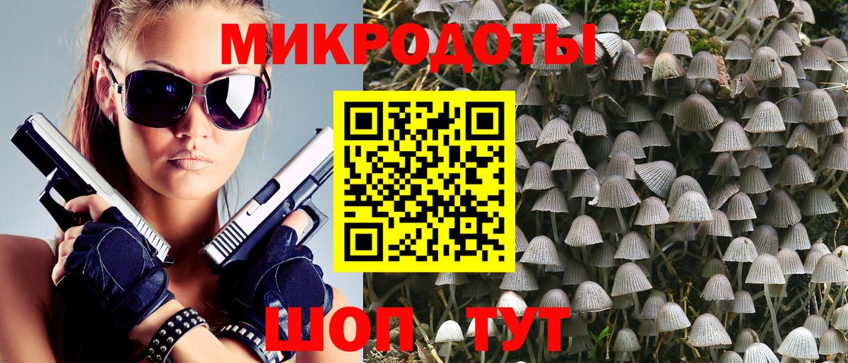 Галлюциногенные грибы Cubensis  Вход с VPN  Мурино 