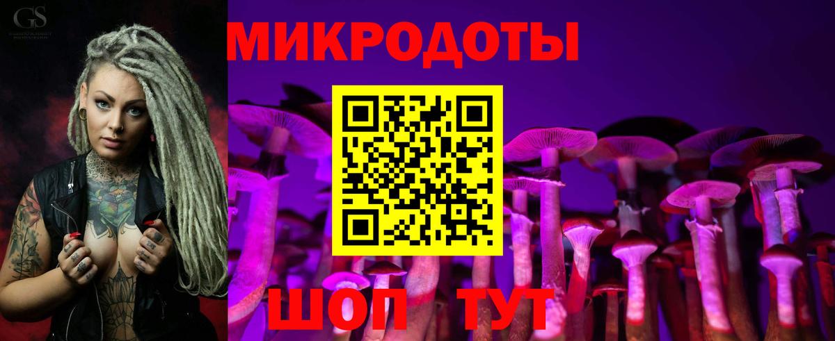 Галлюциногенные грибы MAGIC MUSHROOMS Мурино